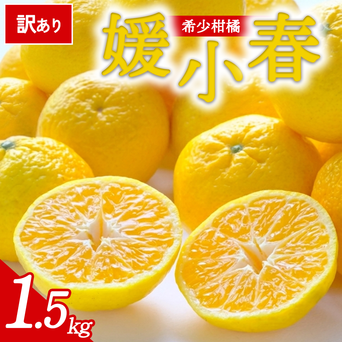 先行予約＜訳あり 愛媛県産 媛小春 合計約1.5kg＞ 『2027年1月以降順次出荷予定』ひめこはる 幻の柑橘 ご家庭用 ご自宅 蜜柑 愛媛県産 果肉 お試し 果物 柑橘 フルーツ オレンジ 国産 濃厚 産地直送 ミヤモトオレンジガーデン 愛媛県 西予市【常温】