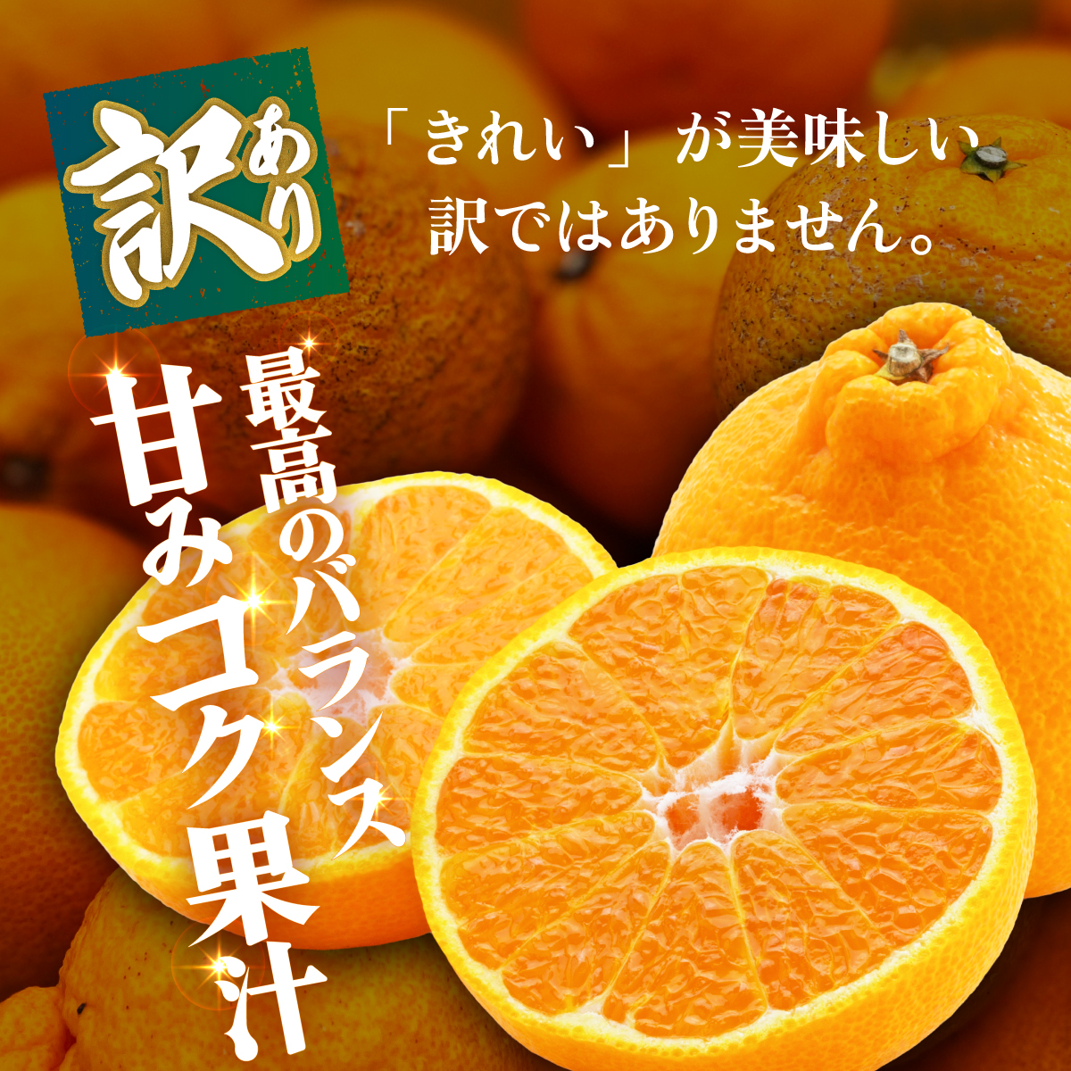 ＜【訳あり】愛媛県産 デコ 約1.5kg＞『2027年2月上旬～6月下旬迄順次発送予定』わけあり 訳アリ 果肉 でこぽん デコポン みかん 蜜柑 訳あり 果物 くだもの フルーツ ミカン 果汁 国産 特産品 株式会社三代目みかん職人 愛媛 西予市【冷蔵】