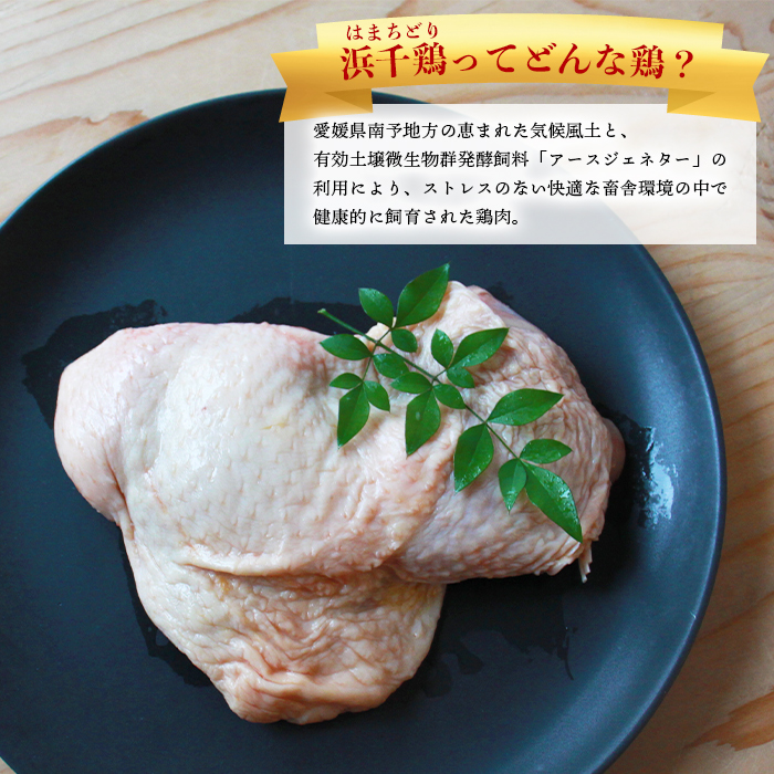 ＜【3ヶ月定期便】銘柄鶏 浜千鶏 愛媛県産 若鶏もも肉 3kg（1kg×3）＞ 国産 鶏肉 鳥肉 とり チキン モモ肉 はまちどり ブロック 精肉 にく 料理 アレンジ 夕飯 夕食 お弁当 昼食 唐揚げ から揚げ 焼き鳥 マルハフーズ株式会社 愛媛県 西予市