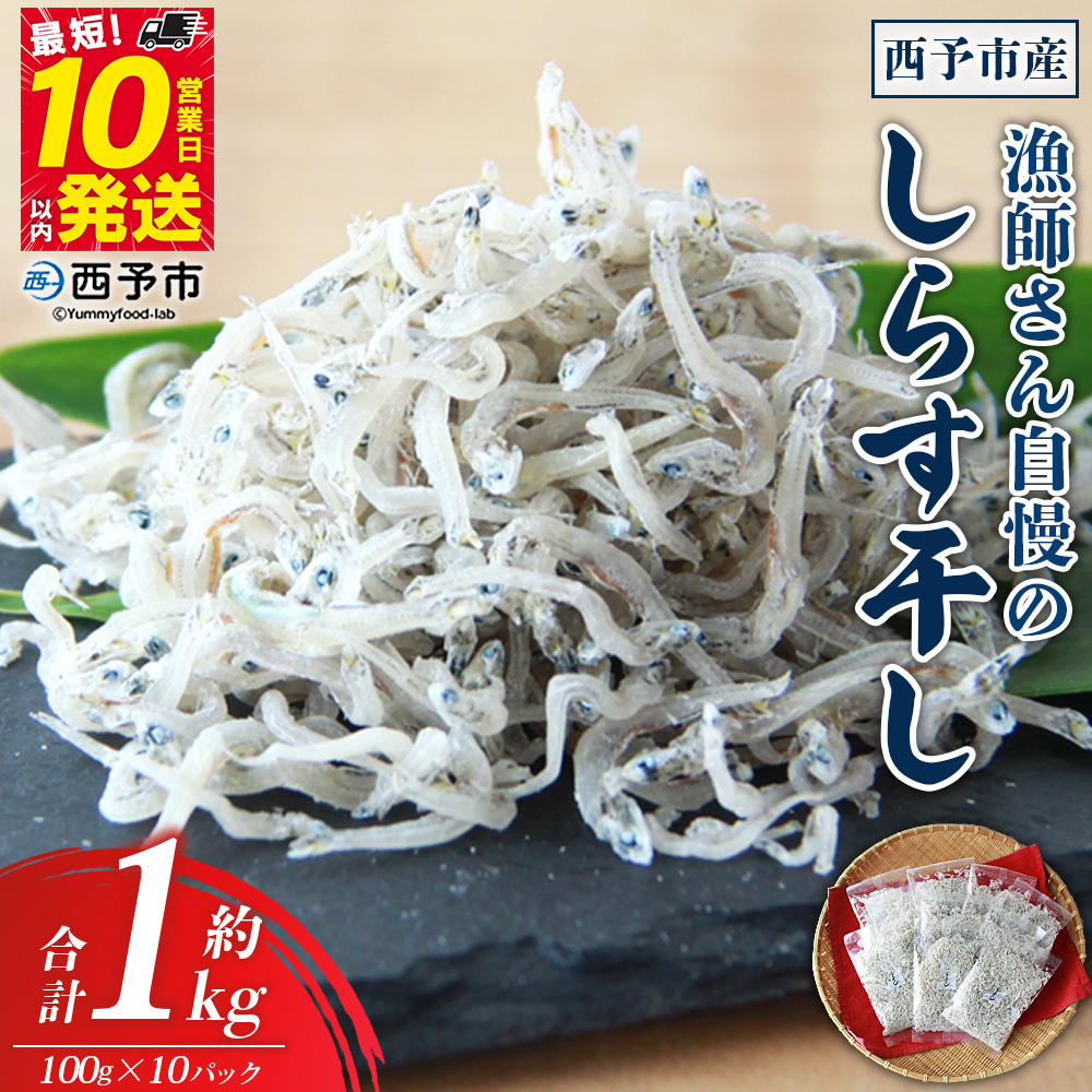 ＜漁師さん自慢のしらす干し 1kg(100g×10パック)＞ シラス 魚介 さかな 海産物 海鮮 海の幸 小分け 国産 ご飯のお供 丼 おつまみ 晩酌 おかず おやつ 特産品 濵田水産 愛媛県 西予市
