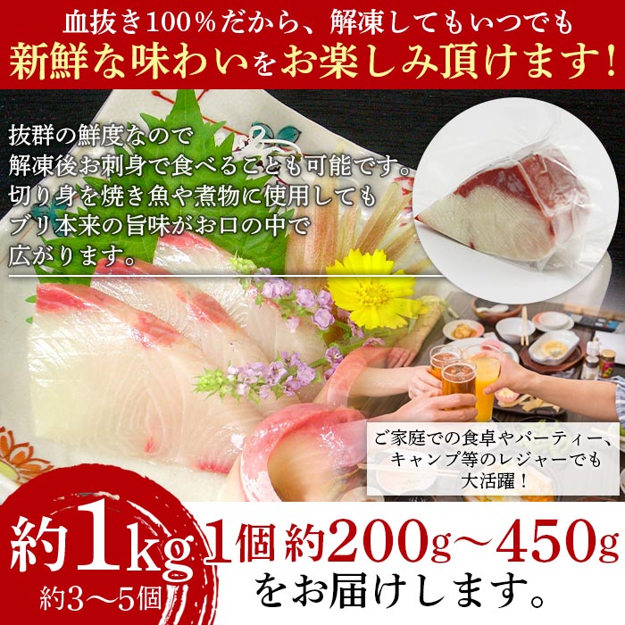 異次元の鮮度！宇和海産「超冷薫」冷凍ぶり ブロックカット（１kg）