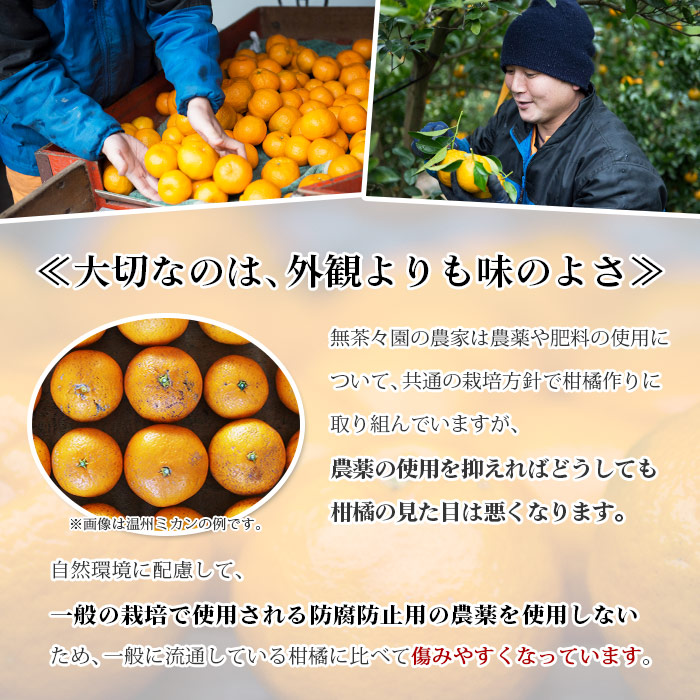 ＜無茶々園のポンカン 約7kg＞ 果物 くだもの フルーツ ぽんかん みかん 柑橘 愛媛県 西予市