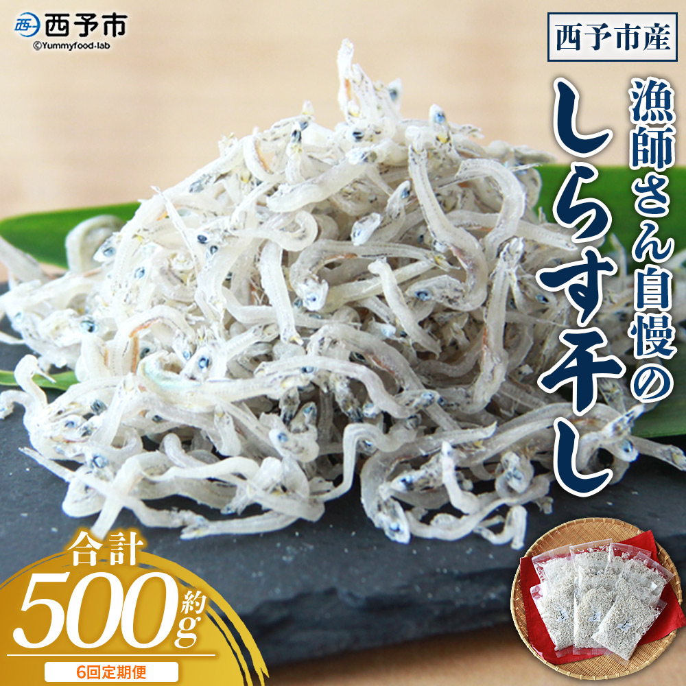 ＜【6回定期便】漁師さん自慢のしらす干し 合計500g（100g×5パック）＞ シラス 魚介類 さかな 海産物 海鮮 海の幸 小分け 国産 ご飯のお供 丼 おつまみ 晩酌 おかず おやつ 特産品 産地直送 濵田水産 愛媛県 西予市