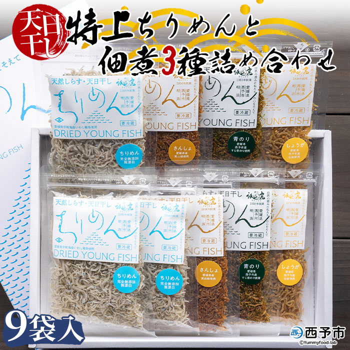 ＜天日干し ちりめん＆佃煮3種 詰め合わせ 合計9袋セット ギフト箱入り＞しらす じゃこ つくだに 無添加 実山椒 生姜 青のり 贈答 愛媛県 西予市	