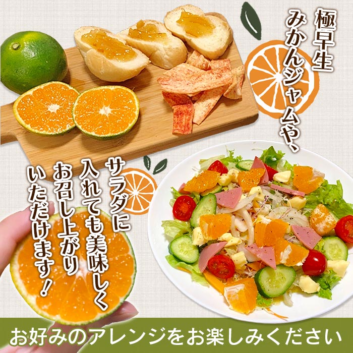 ＜天晴みかん 極早生 ご家庭用 約5kg＞ ミカン 果物 フルーツ オレンジ 柑橘 温州みかん 愛媛県 西予市