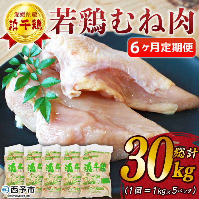 ＜【6ヶ月定期便】銘柄鶏 浜千鶏 愛媛県産 若鶏むね肉 5kg（1kg×5）＞ 国産 鶏肉 大容量 業務用 家庭用 鳥肉 とり チキン ムネ はまちどり 精肉 塊 ブロック 定期便 産地直送 マルハフーズ株式会社 愛媛県 西予市