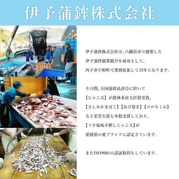 ＜特上揚巻き・無添加うす塩手押しじゃこ天セット 計5袋＞メインディッシュにも！じゃこてん 天ぷら てんぷら 魚肉 練り物 練り製品 すり身 珍味 かまぼこ おつまみ 惣菜 おかず 郷土料理 特産品 伊予蒲鉾 愛媛県 西予市