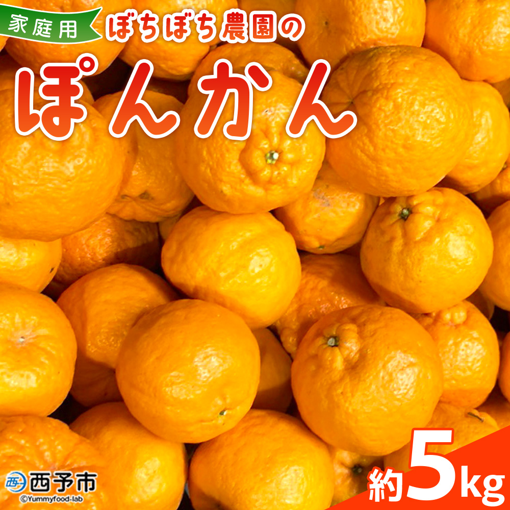 ぼちぼち農園のぽんかん5kg　家庭用
