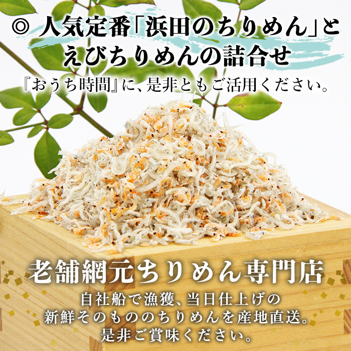 ＜老舗網元 えびちりめん詰め合わせ 計480g(ちりめん120g×2袋 えびちりめん120g×2袋)＞ かたくちいわし カタクチイワシ 小魚 のし対応可 お祝い 贈答 カルシウム 乾物 小分け 国産 マルヨシ水産 特産品 愛媛県 西予市