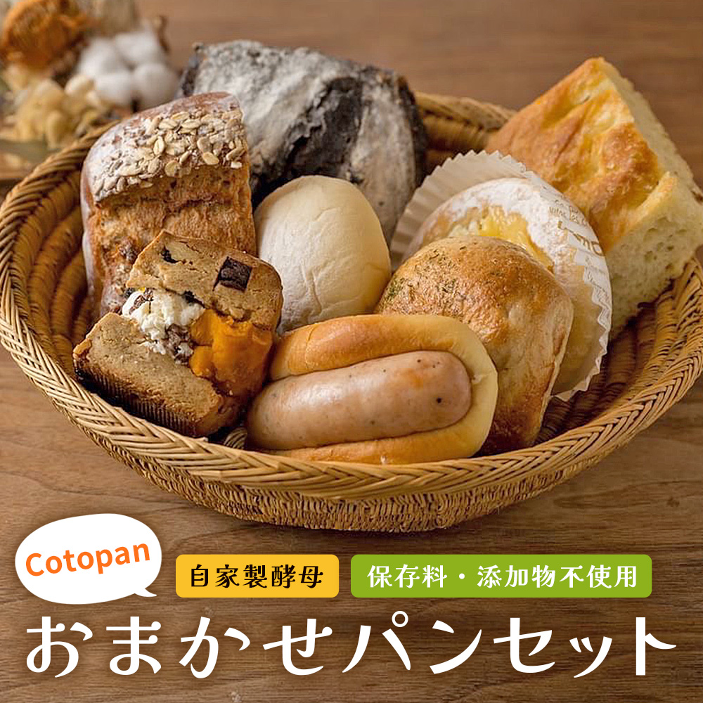 ＜Cotopanおまかせパンセット（8～9個）＞ 天然酵母 国産 ハード系 スイーツ モーニング 低温長時間発酵 パン お楽しみ 自家製酵母 詰め合わせ コトパン 愛媛県 西予市