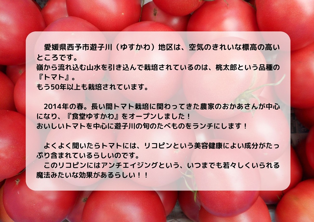 人気No.１！トマト６個がギュギュッと詰まった添加物不使用こどもケチャップ４個セット