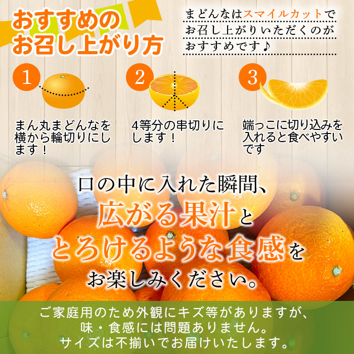 紅まどんなと同品種！＜木下さんちのまどんな 約5kg 家庭用＞ 柑橘 みかん ミカン 果物 くだもの フルーツ 不揃い 自宅用 愛媛果試第28号 マドンナ 西宇和 愛媛県 西予市