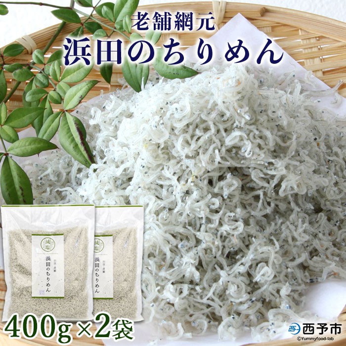 ＜老舗網元 浜田のちりめん 800g(400g×2袋)＞ かたくちいわし カタクチイワシ 小魚 のし対応可 お祝い 内祝い ギフト 贈答 贈り物 プレゼント カルシウム 乾物 小分け 国産 マルヨシ水産 特産品 愛媛県 西予市