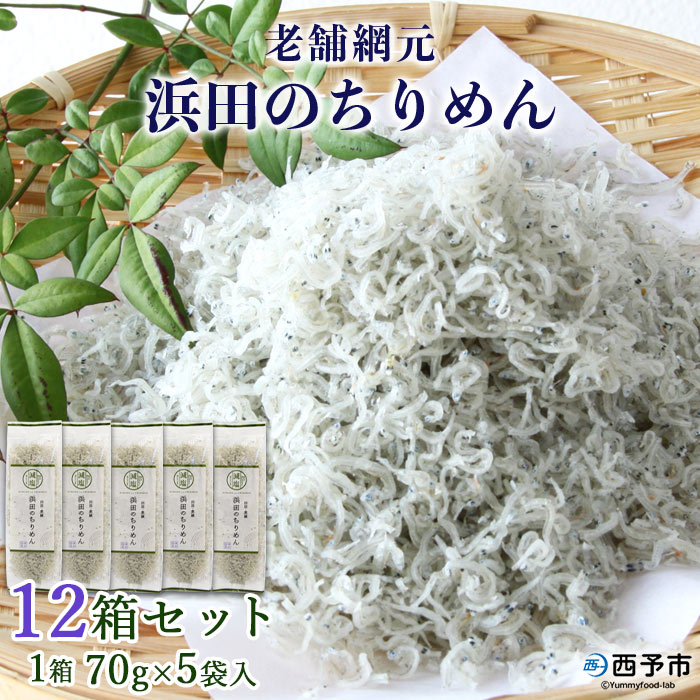 ＜老舗網元 浜田のちりめん 12箱セット(1箱 70g×5袋入)＞ 詰め合わせ かたくちいわし カタクチイワシ 小魚 のし対応可 お祝い 内祝い ギフト 贈答 贈り物 乾物 お中元 お土産 小分け 国産 マルヨシ水産 特産品 愛媛県 西予市