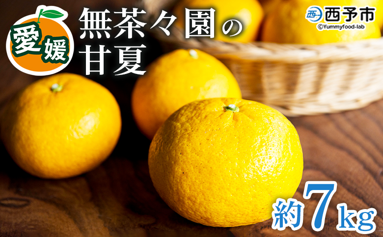 【先行予約】＜無茶々園の甘夏 約7kg＞ 果物 あまなつ みかん ミカン 蜜柑 柑橘 フルーツ 期間限定 季節限定 食べて応援 特産品 愛媛県 西予市