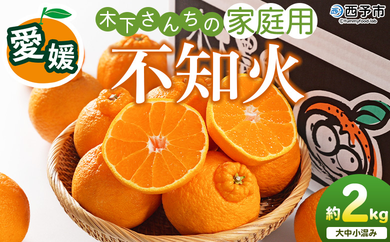 [木下さんちの不知火 家庭用 約2kg(大中小混み)]『2027年3月に順次出荷予定』柑橘 しらぬい でこぽん デコポン ご自宅 みかん ミカン 蜜柑 果物 くだもの フルーツ 果実 特産品 木下農園 西宇和 愛媛県 西予市[常温]
