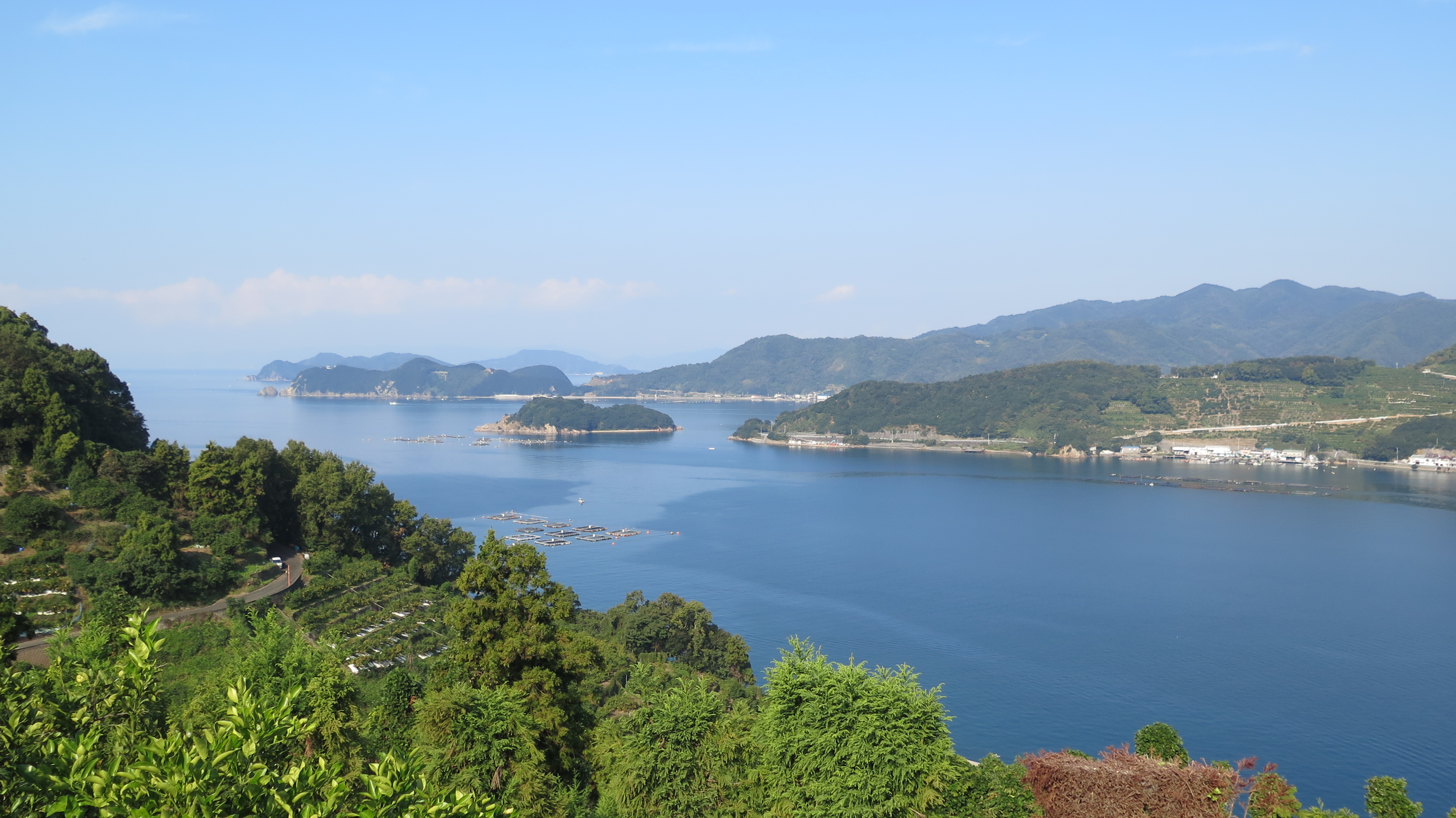 黒田農園直送　西宇和産河内晩柑　8kg(サイズ不揃い）