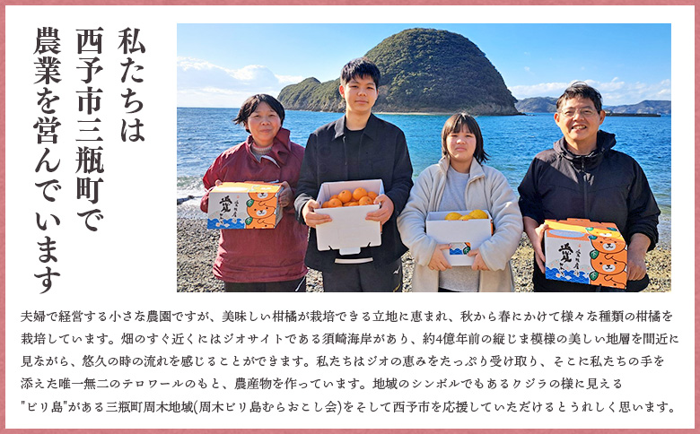 ＜愛媛県産 河内晩柑 約8kg（M～2L）＞ 柑橘 みかん フルーツ 和製グレープフルーツ ジューシー 初夏 旬 サイズ混合 西宇和 国産 さっぱり 甘い 農園オレンジとムラサキ 西予市