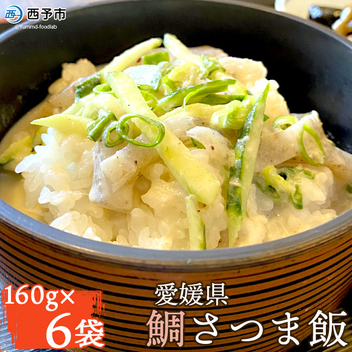 愛媛県　鯛さつま飯（６袋）