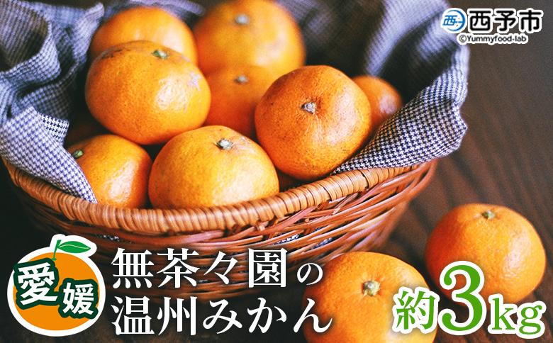 【先行予約】＜無茶々園 温州みかん 約3kg＞ 果物 くだもの ミカン 蜜柑 柑橘 フルーツ うんしゅうみかん 贈り物 ギフト おいしい 期間限定 季節限定 食べて応援 特産品 愛媛県 西予市