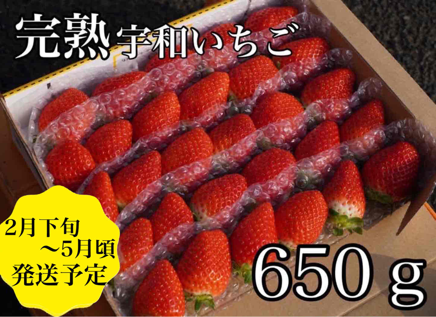 安い激安新鮮朝採り大粒いちご　苺 果物
