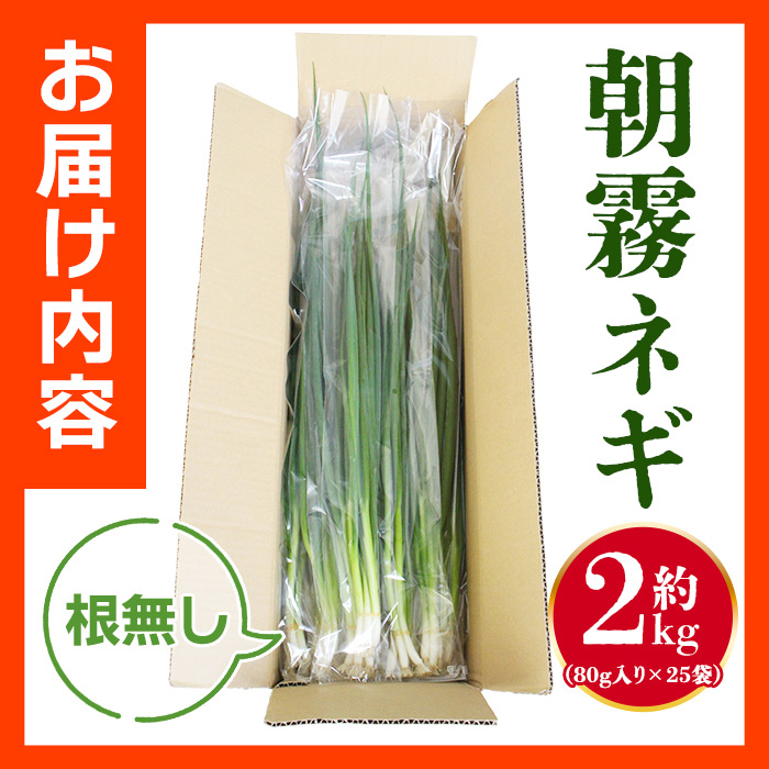 シャキッと食感！香り立つ美味しさ！朝霧ネギ　約2kg（80g入り×25袋）