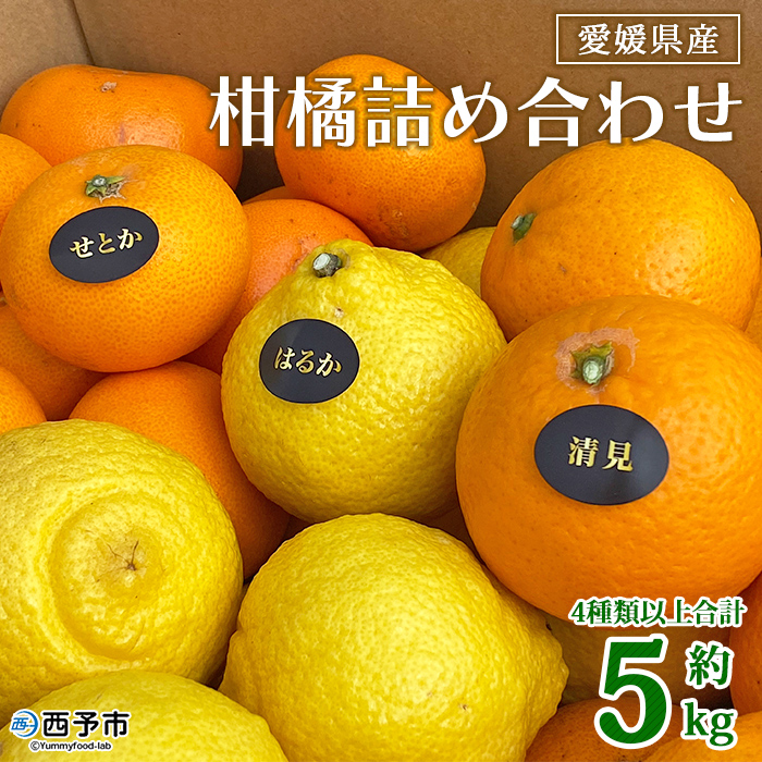 ＜愛媛県西予市産 柑橘詰め合わせ 合計約５kg＞ 果物 フルーツ おまかせ お楽しみ みかん ミカン 食べ比べ 詰合せ セット ご家庭用 柑橘 愛媛県 西予市