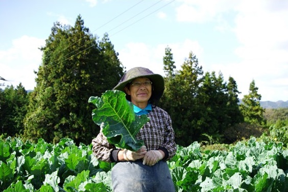 ファンケル　濃縮野菜西予市産ケール（冷凍）