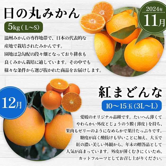 ＜2024年11月発送開始 えひめかんきつ定期便 全6回＞ 果物 フルーツ みかん ミカン 蜜柑 日の丸みかん 紅まどんな 伊予柑 甘平 せとか 河内晩柑 愛媛県 西予市