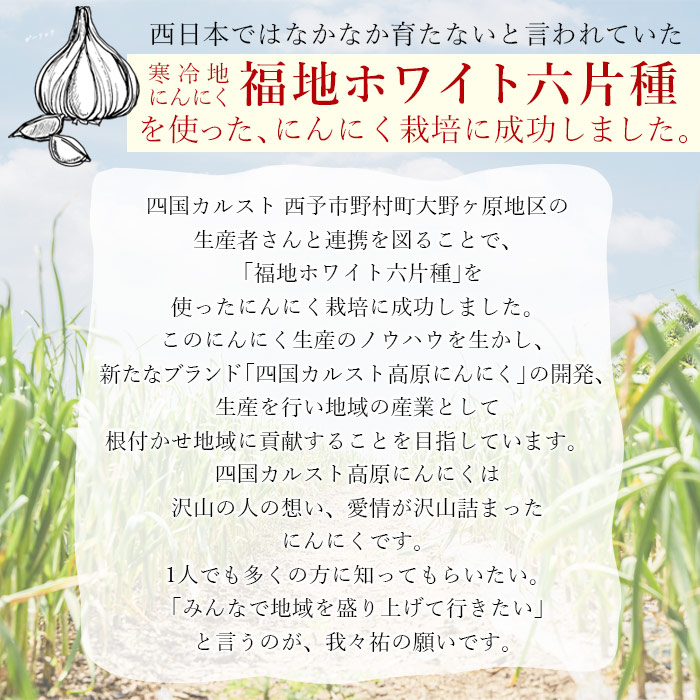 四国カルスト高原にんにくバラエティセット　５種
