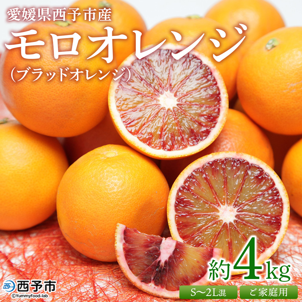 [愛媛県西予市産 モロオレンジ(ブラッドオレンジ)ご家庭用 約4kg] 訳あり 不揃い 果物 くだもの フルーツ みかん ミカン 柑橘 愛媛県 西予市