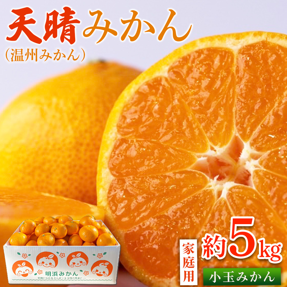 ＜愛媛県明浜産 天晴みかん（温州みかん）約5kg 小玉サイズ＞ 家庭用 訳あり ワケアリ 果物 くだもの フルーツ ミカン 柑橘 特産品 笑丸 愛媛県 西予市