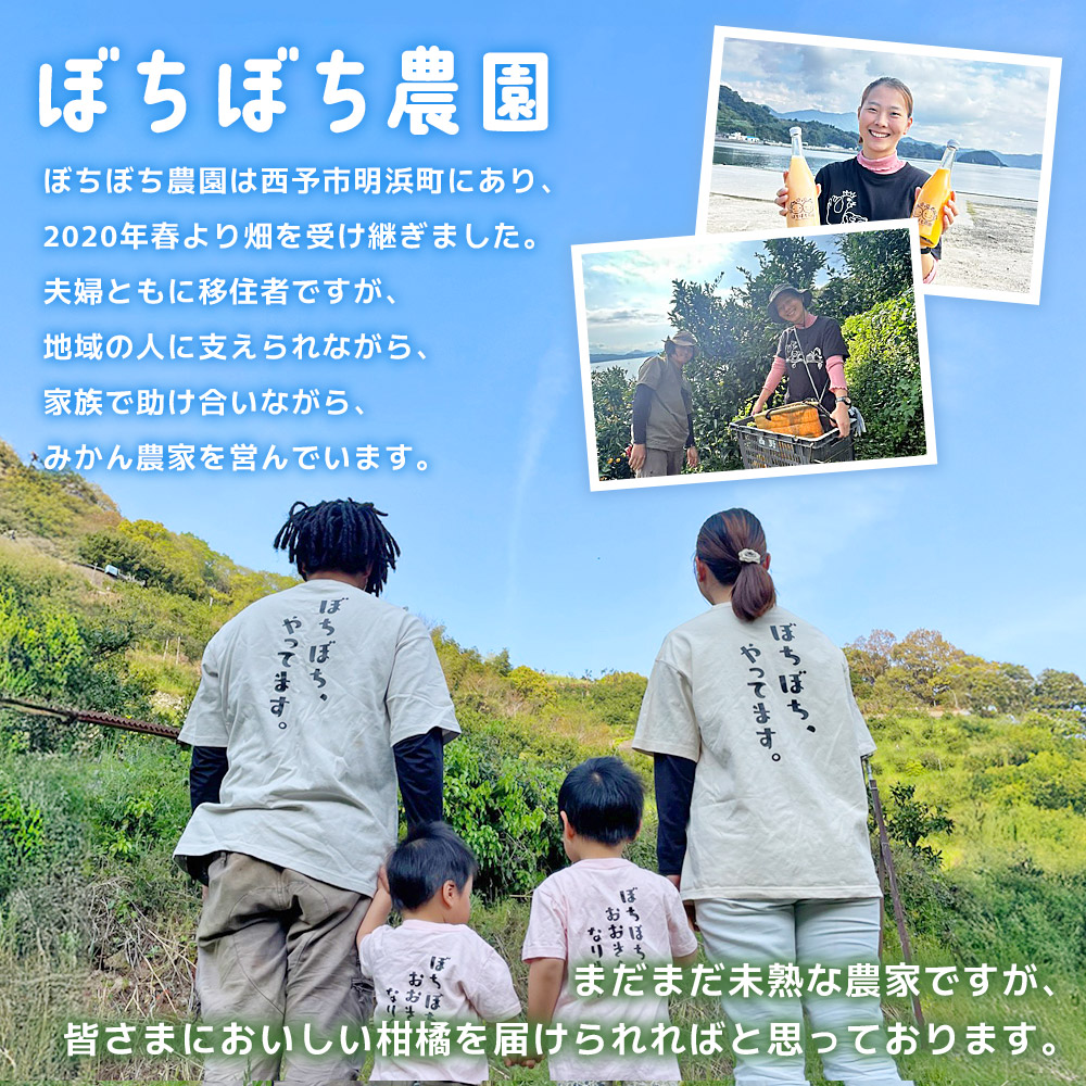 ぼちぼち農園の温州みかん5kg　家庭用