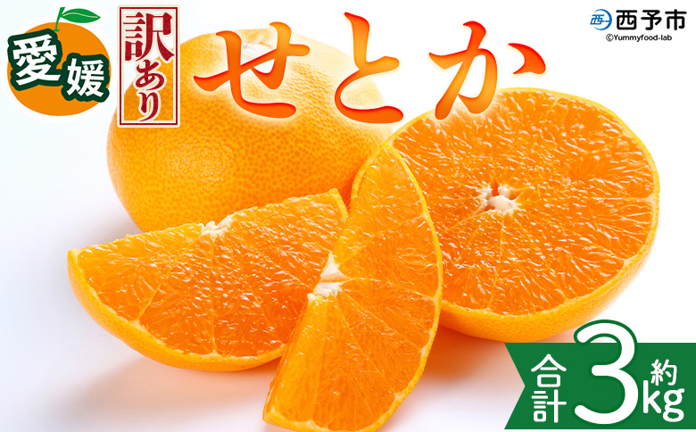 ＜【訳あり】愛媛県産 せとか 約3kg＞『2027年2月中旬～5月下旬迄に順次発送予定』わけあり 訳アリ 甘い みかんの大トロ みかん 蜜柑 果物 くだもの フルーツ ミカン 高級柑橘 とろける 食感 果汁 国産 株式会社三代目みかん職人 愛媛県 西予市【冷蔵】