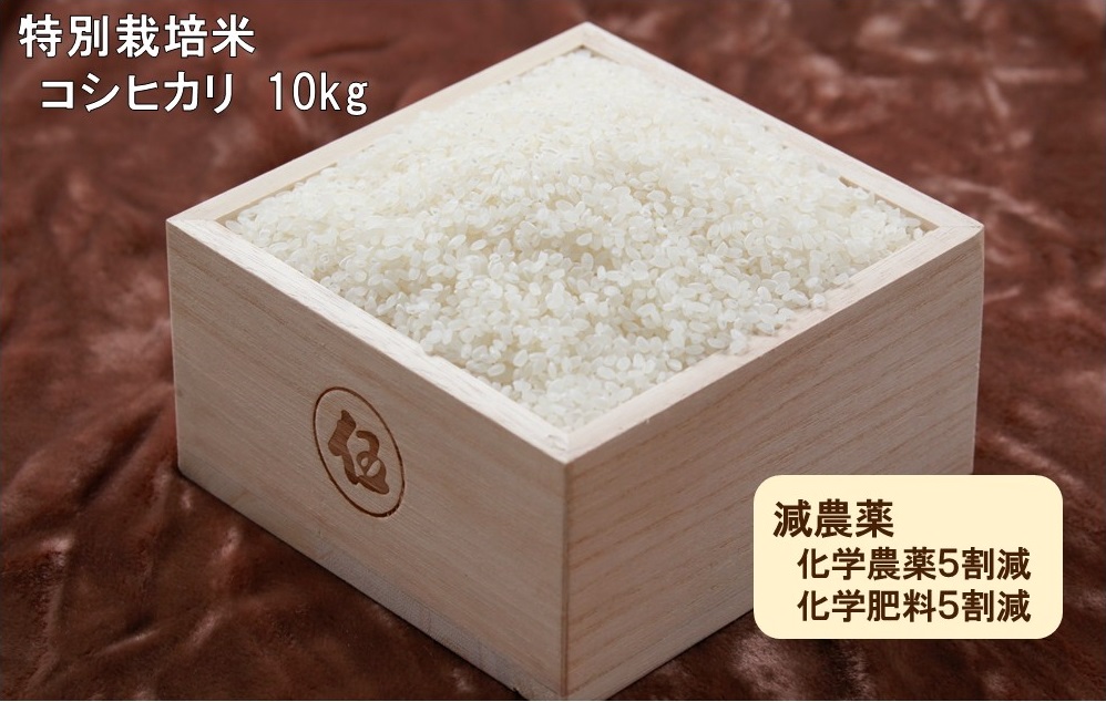 令和５年産　西予市宇和町産　特別栽培米コシヒカリ10kg