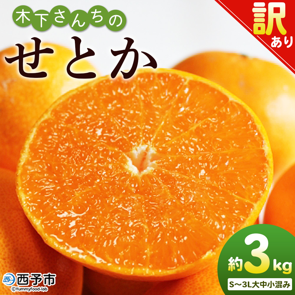 ＜木下さんちのせとか 訳あり 約3kg（S～3L大中小混み）＞ 訳アリ 家庭用 自宅用 柑橘 ミカン みかん 蜜柑 果物 くだもの フルーツ 国産 特産品 木下農園 愛媛県 西予市【常温】『2027年2月下旬〜3月下旬に順次出荷』