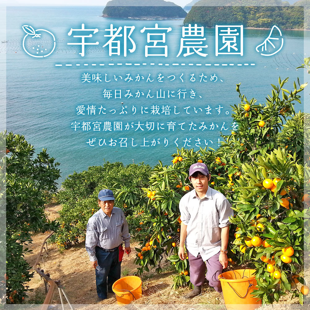 ïŒç£å°çŽéïŒæåªçææµçºç£ ããšã çŽ5kgïŒ ã»ãã« æç© ãã ãã® ã¿ãã ãã«ã³ ææ© ãã«ãŒã ææ©é¡ æå® é«çŽ ç³åºŠ ææ± ææ©ã®å€§ãã çã åœç£ ç¹ç£å å®éœå®®èŸ²å æåªç 西äºåž