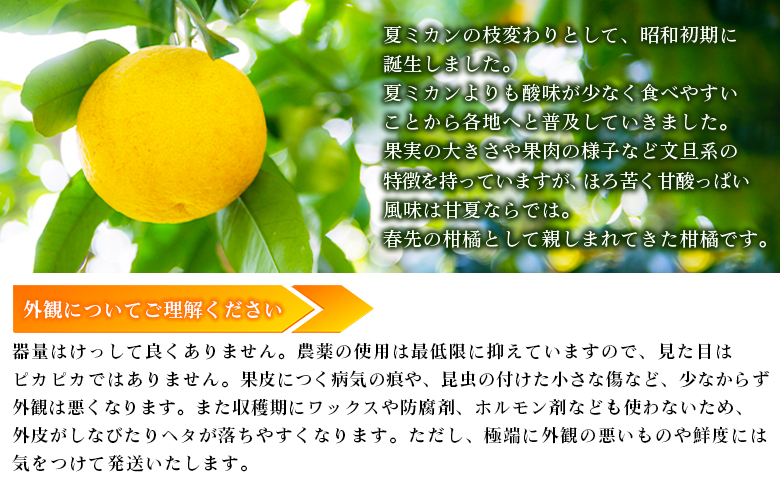 【先行予約】＜無茶々園の甘夏 約7kg＞ 果物 あまなつ みかん ミカン 蜜柑 柑橘 フルーツ 期間限定 季節限定 食べて応援 特産品 愛媛県 西予市
