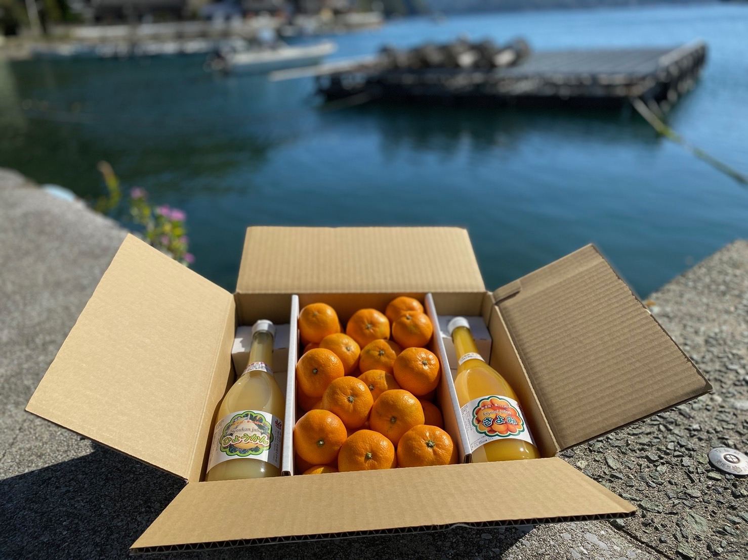 「柑橘王国セット」みかん×みかんジュース