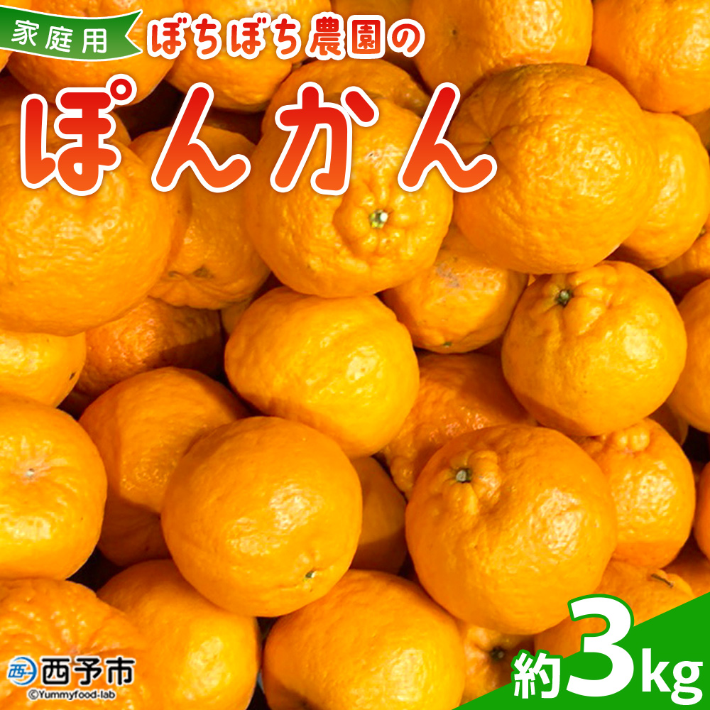 ぼちぼち農園のぽんかん3kg　家庭用