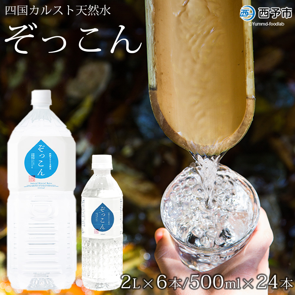 ＜四国カルスト天然水ぞっこん 2L×6本+500ml×24本＞飲料 水 みず 中硬水 弱アルカリイオン水 ペットボトル ウォーター バナジウム 備蓄 防災 キャンプ アウトドア 国産 特産品 ぞっこん四国 愛媛県 西予市