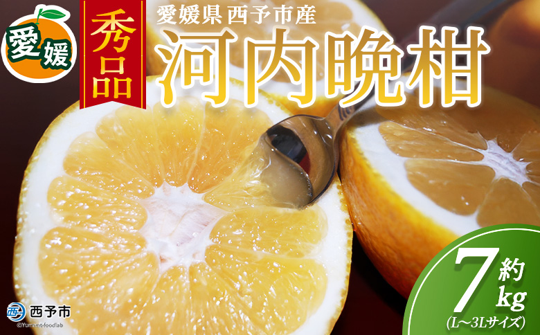 ＜秀品 河内晩柑 (L～3Lサイズ) 約7kg＞『2026年4月中旬から順次出荷予定』かわちばんかん 美生柑 宇和ゴールド オレンジ 和製グレープフルーツ 蜜柑 ミカン みかん 果物 フルーツ 柑橘 国産 愛媛県産 西予市産 西宇和 特産品 丸二青果 愛媛県西予市【常温】