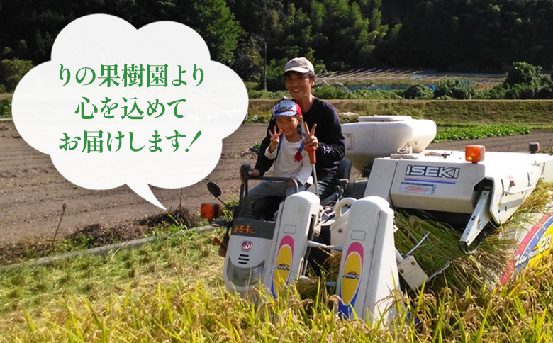 先行予約＜令和8年産 米 にじのきらめき 精米 約5kg＞ 選べる 2026年産 単一原料米 単一米 5キロ ニジノキラメキ お米 コメ こめ 白米 ご飯 ライス りの果樹園 愛媛県 西予市【常温】『2026年10月頃から順次出荷予定』