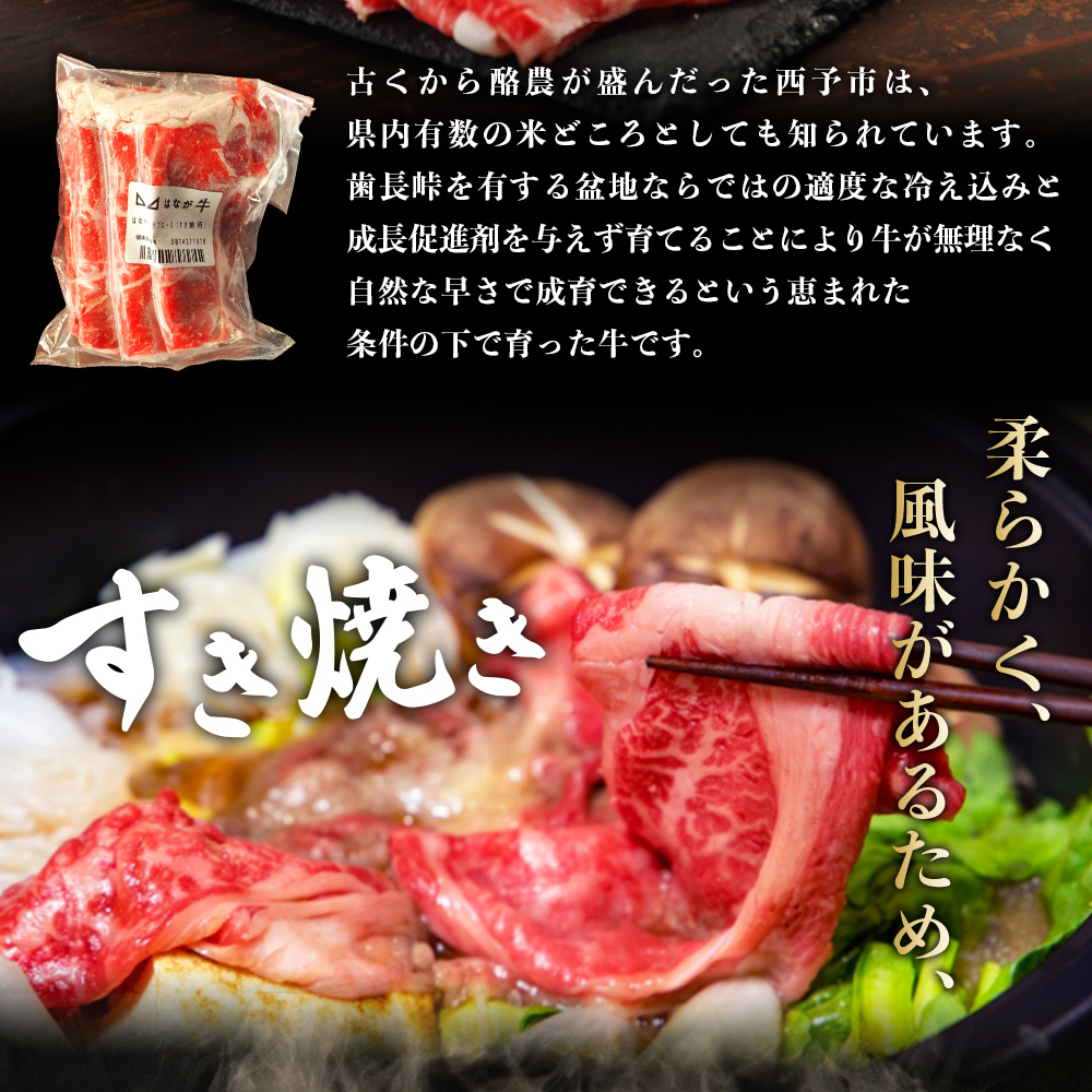 ＜熟成肉 はなが牛リブロース スライス 合計800g（200g×4袋）＞ 牛肉 すき焼き しゃぶしゃぶ 国産 国産牛 スライス肉 霜降り 小分け 薄切り 使いやすい 便利 愛媛県 西予市