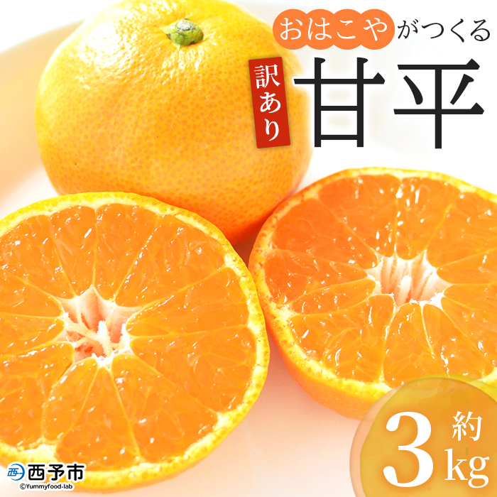 ＜訳あり おはこやがつくる 甘平 約3kg＞ ワケアリ 家庭用 果物 くだもの 果実 フルーツ 柑橘類 かんぺい カンペイ みかん ミカン 蜜柑 特産品 西宇和 愛媛県 西予市