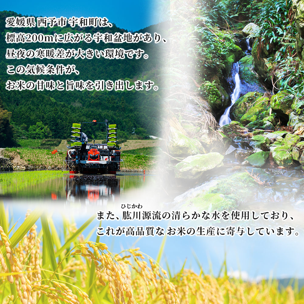＜令和7年産 愛媛県西予市産 コシヒカリ 5kg＞ お米 コメ こめ 白米 精米 ご飯 新鮮 5キロ 国産 愛媛県産 宇和町産 こしひかり 特産品 もとき農園 愛媛県 西予市