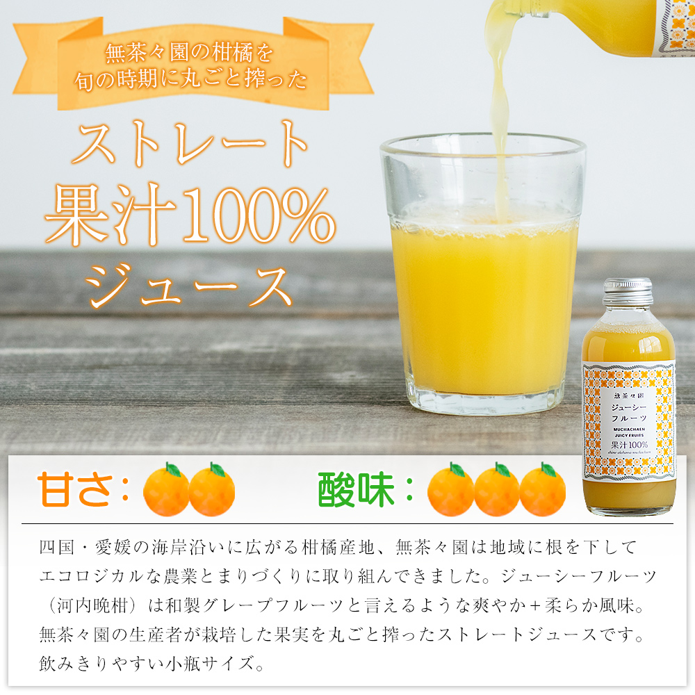 ＜無茶々園のジューシーフルーツジュース 180ml×12本＞ 柑橘 果物 オレンジ フルーツ ストレート 果汁100%  河内晩柑 小瓶 特産品 無茶々園 愛媛県 西予市 