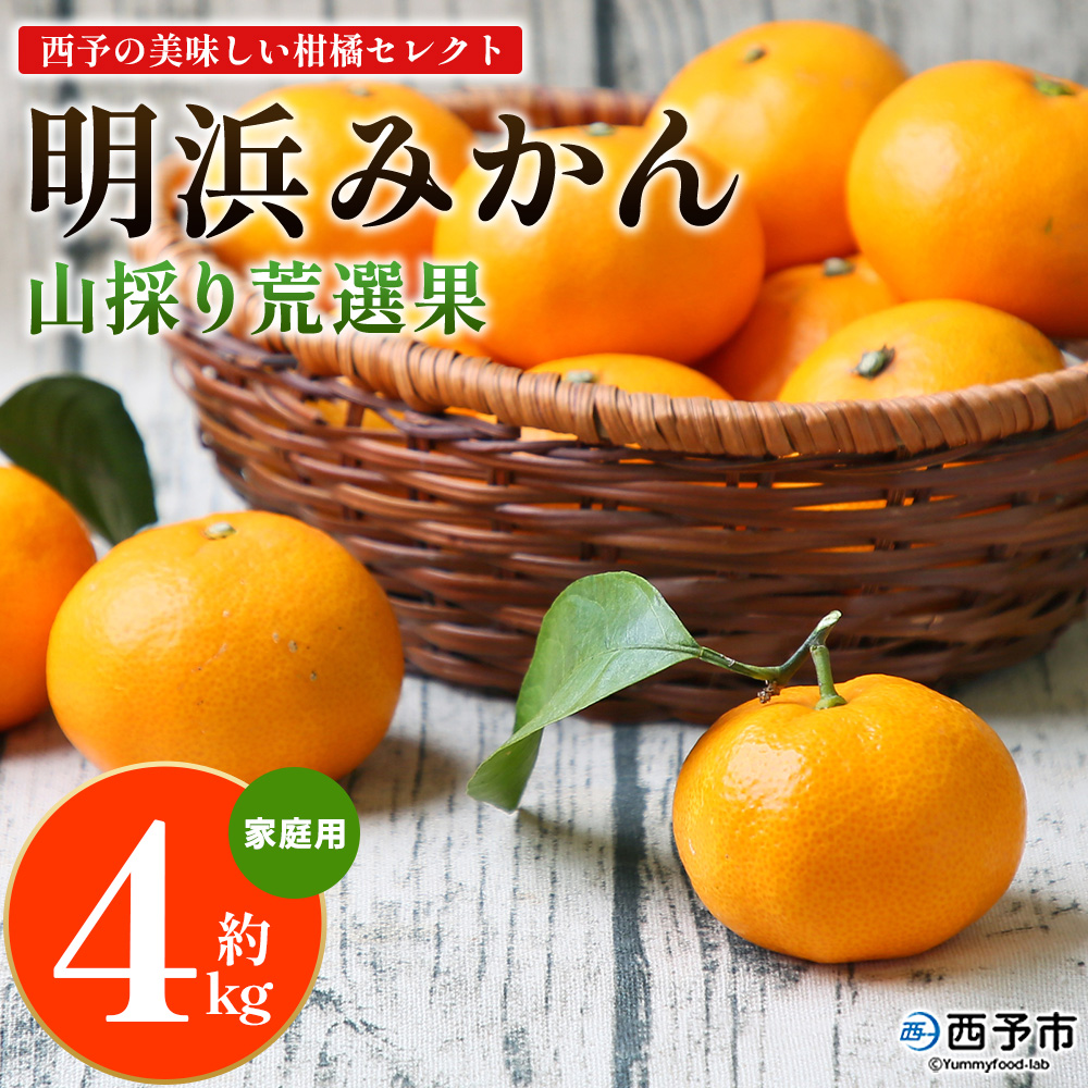 [先行予約][西予の美味しい柑橘セレクト(ご家庭用)/明浜みかん 山採り 荒選果(約4kg)] 果物 くだもの フルーツ 蜜柑 みかん ミカン 柑橘 ご家庭用 温州みかん 食べて応援 国産 愛媛県産 特産品 西予みかん倶楽部 愛媛県 西予市