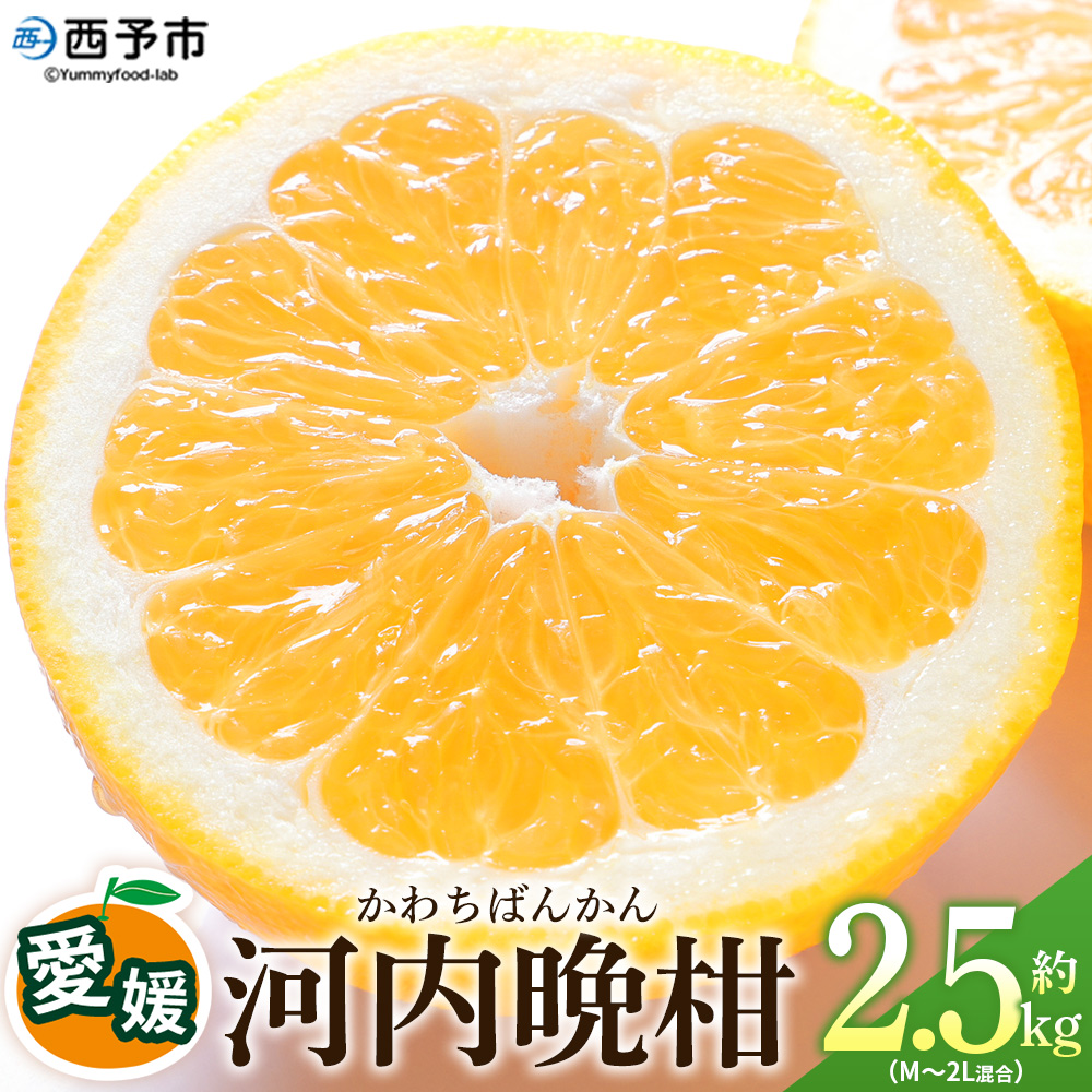 ＜愛媛県産 河内晩柑 約2.5kg（M～2L）＞ 柑橘 みかん フルーツ 和製グレープフルーツ ジューシー 初夏 旬 サイズ混合 西宇和 国産 さっぱり 甘い 農園オレンジとムラサキ 西予市