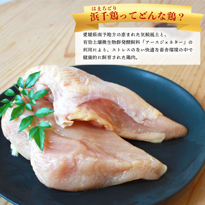 ＜【3ヶ月定期便】銘柄鶏 浜千鶏 愛媛県産 若鶏むね肉 5kg（1kg×5）＞ 国産 鶏肉 大容量 業務用 家庭用 鳥肉 とり チキン ムネ はまちどり 精肉 塊 ブロック 定期便 産地直送 マルハフーズ株式会社 愛媛県 西予市
